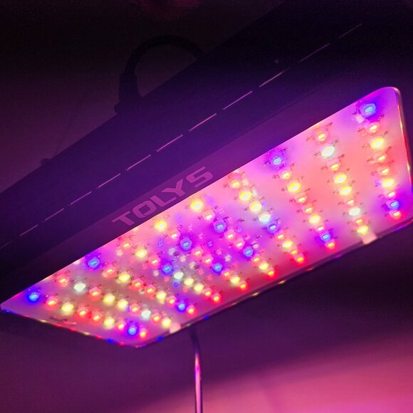 Small Grow Light - Picture 1 of 6